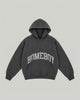 SHY Logo Hood Sunburn Grey Washed